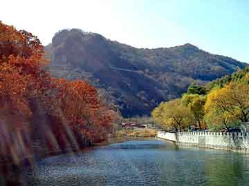 新澳天天开奖资料大全旅游团，万山特黑帽seo